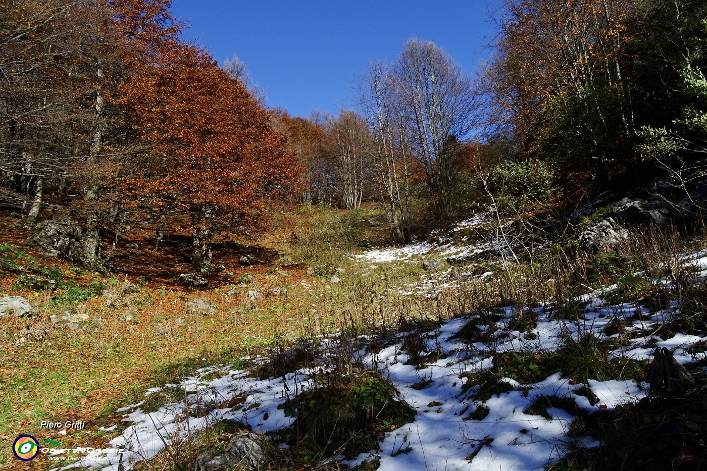 54 Di pianoro in pianoro....JPG